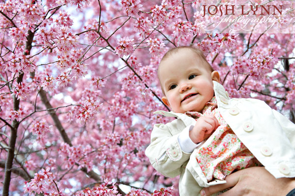 http://www.joshlynn.com/blogimages/0409/JL5_4906.jpg