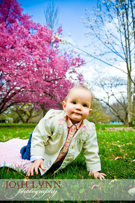 http://www.joshlynn.com/blogimages/0409/MS025.jpg