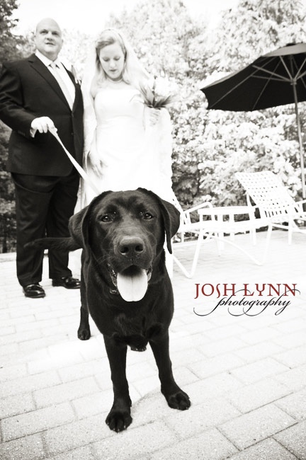 http://www.joshlynn.com/blogimages/AS199.jpg
