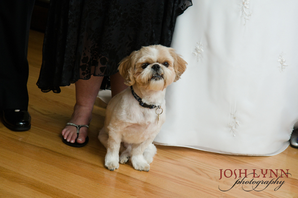 http://www.joshlynn.com/blogimages/JL3_4839.jpg